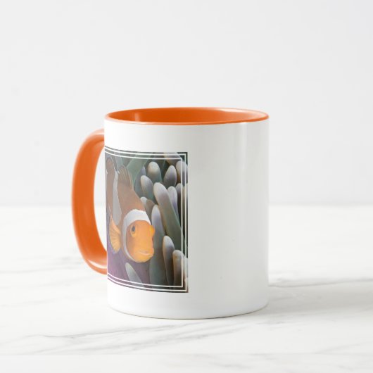 Westerne Clown Anemone Vis Mok (Voorkant links)