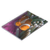 Westerne Clown Anemone Vis Notitieboek (Linkerzijde)