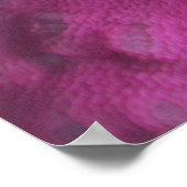 Westerne Clown Anemone Vis Poster (Hoek)