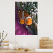 Westerne Clown Anemone Vis Poster (Keuken)