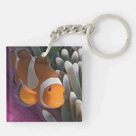 Westerne Clown Anemone Vis Sleutelhanger (Achterkant)