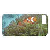 Westerne Clownvis ( Amphiprion ocellaris ) Case-Mate iPhone Case (Achterkant (Horizontaal))