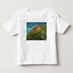 Westerne Clownvis ( Amphiprion ocellaris ) Kinder Shirts
