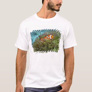 Westerne Clownvis ( Amphiprion ocellaris ) T-shirt