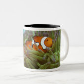 Westerne Clownvis ( Amphiprion ocellaris ) Tweekleurige Koffiemok (Voorkant rechts)