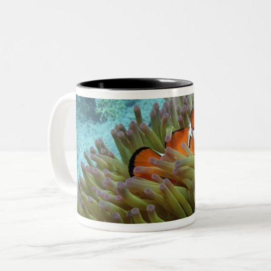 Westerne Clownvis ( Amphiprion ocellaris ) Tweekleurige Koffiemok (Voorkant links)