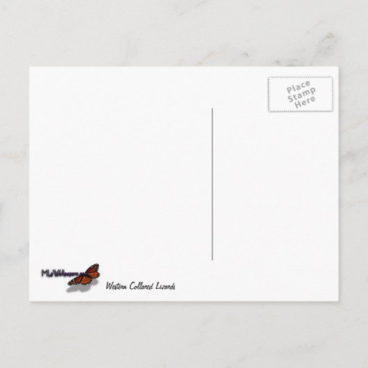 Westerne collared Lizards in Colorado Briefkaart (Achterkant)
