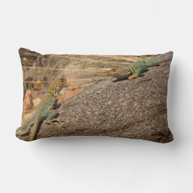 Westerne collared Lizards in Colorado Kussen (Voorkant)