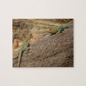 Westerne collared Lizards in Colorado Legpuzzel (Horizontaal)