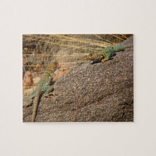 Westerne collared Lizards in Colorado Legpuzzel (Horizontaal)