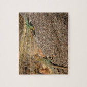 Westerne collared Lizards in Colorado Legpuzzel (Verticaal)