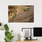 Westerne collared Lizards in Colorado Poster (Thuiskantoor)