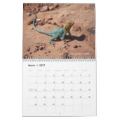 Westerne Colorado-fotokalender Kalender (Mar 2027)