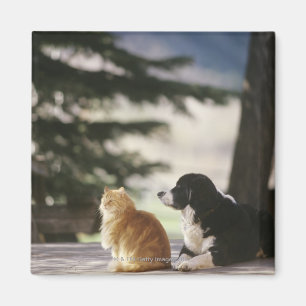 Westerne Colorado, Verenigde Staten Magneet