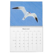 Westerne Colorado Wild Birds Calendar Kalender (Mar 2027)