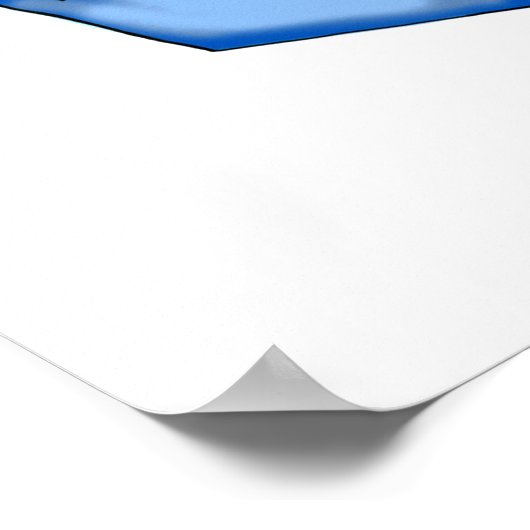 Westerne Cowboy Skull Poster (Hoek)