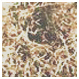 Westerne cowboy Watering Horse - Lg Print Stof