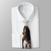 Westerne cowboys, Bucking by NC Wyeth Stropdas (Gebonden)