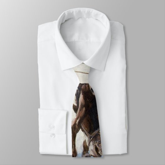  Westerne cowboys, Bucking by NC Wyeth Stropdas (Gebonden)