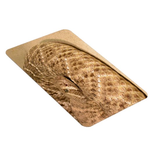 westerne diamondback ratelslang magneet (Rechterzijde)