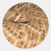 westerne diamondback ratelslang ronde sticker (Voorkant)