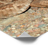 Westerne Diamondback Rattlesnake Poster (Hoek)