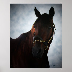 Westerne dromer poster