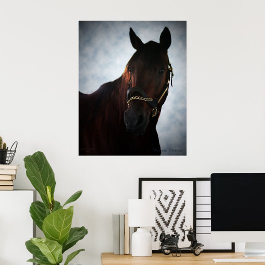 Westerne dromer poster (Thuiskantoor)
