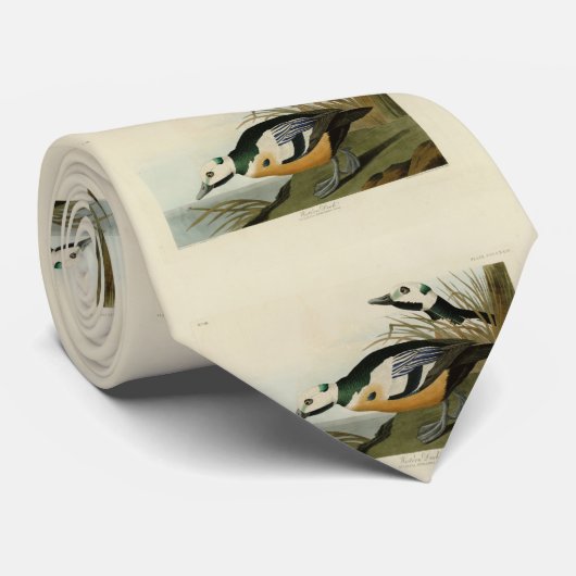 Westerne Duck van Audubon's Birds of America Stropdas (Opgerold)