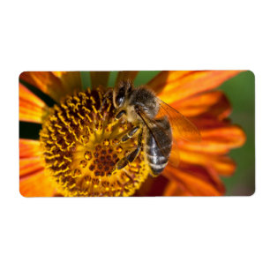 Westerne foto van honingbijen etiket