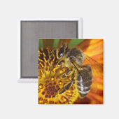 Westerne foto van honingbijen magneet (Voorkant / Achterkant)