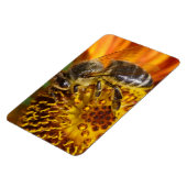 Westerne foto van honingbijen magneet (Linkerzijde)