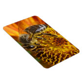 Westerne foto van honingbijen magneet (Rechterzijde)