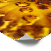 Westerne foto van honingbijen poster (Hoek)