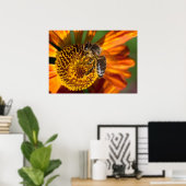 Westerne foto van honingbijen poster (Thuiskantoor)