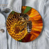 Westerne foto van honingbijen ronde button 6,0 cm (In situ)