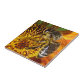 Westerne foto van honingbijen tegeltje (Zijkant)