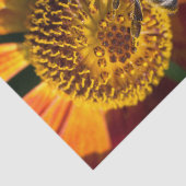 Westerne foto van honingbijen tissuepapier (Detail)