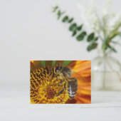 Westerne foto van honingbijen visitekaartje (Staand voorkant)