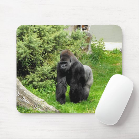Westerne gorilla van de zijdedoorse mannetjesgoril muismat (Met muis)