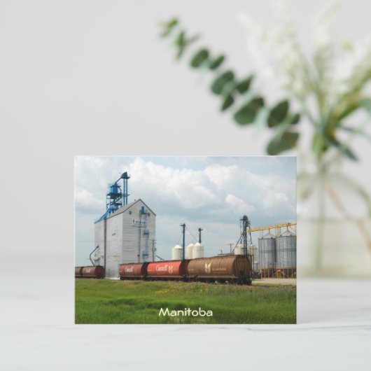 Westerne graan briefkaart (Staand voorkant)