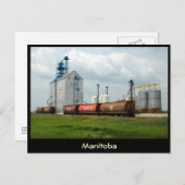 Westerne graan briefkaart (Voorkant / Achterkant)