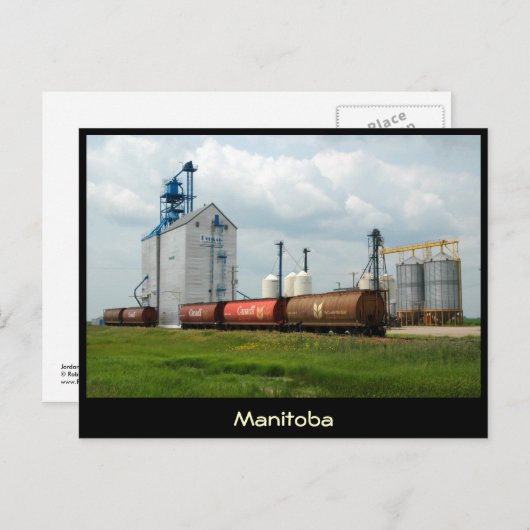 Westerne graan briefkaart (Voorkant / Achterkant)