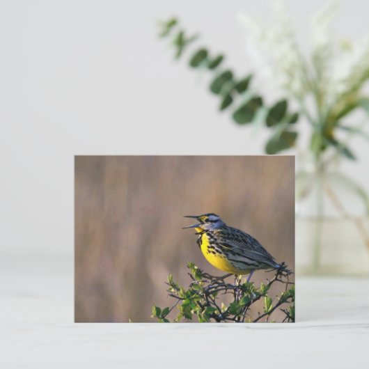 Westerne griezels briefkaart (Staand voorkant)