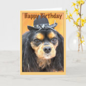Westerne Happy Birthday Cavalier King Charles Kaart (Gele Bloem)