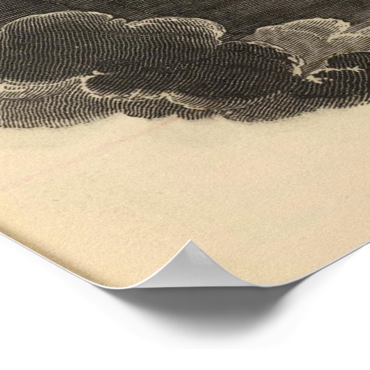 Westerne Hemisphere Map door Goodrich Poster (Hoek)