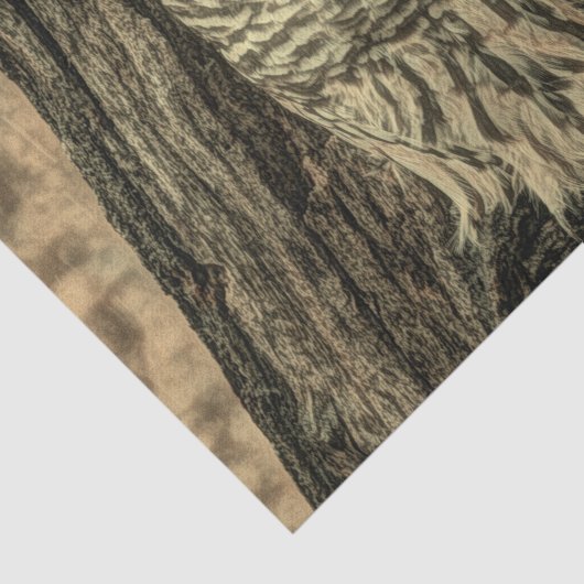 westerne herfstbladeren eikenboom witte uil tissuepapier (Detail)