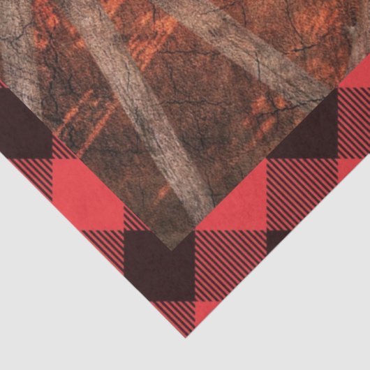 Westerne Hoefijzers op wielwielen Tissuepapier (Detail)