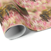 Westerne honingbijen op sedum cadeaupapier (Rol Hoek)
