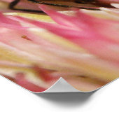 Westerne honingbijenmacro poster (Hoek)